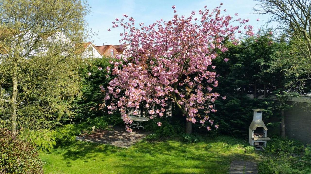 Kapiteinshuis Breskens Eksteriør bilde
